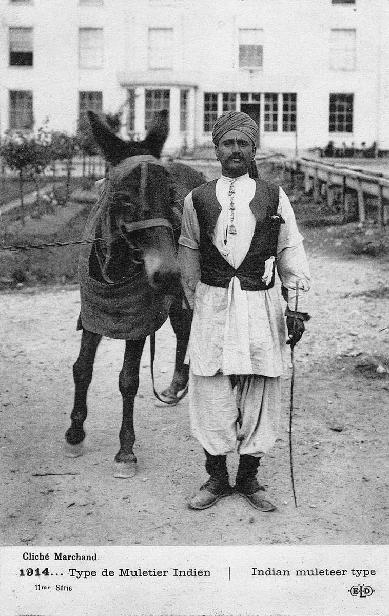 Type de Muletier Indien