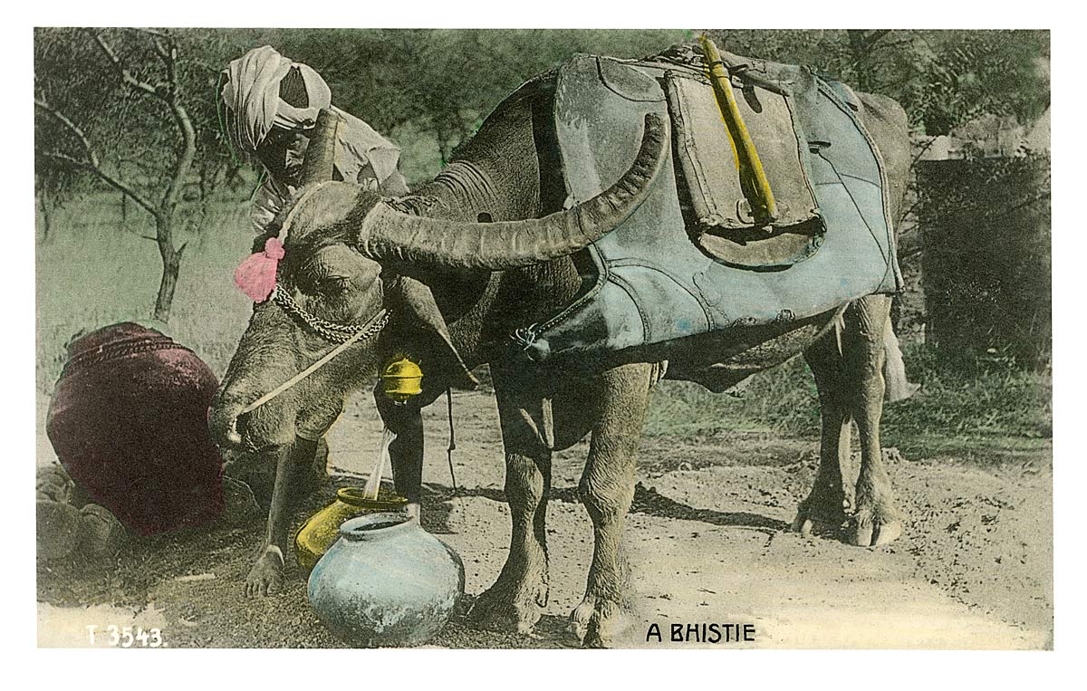 A Bhistee [Watercarrier]