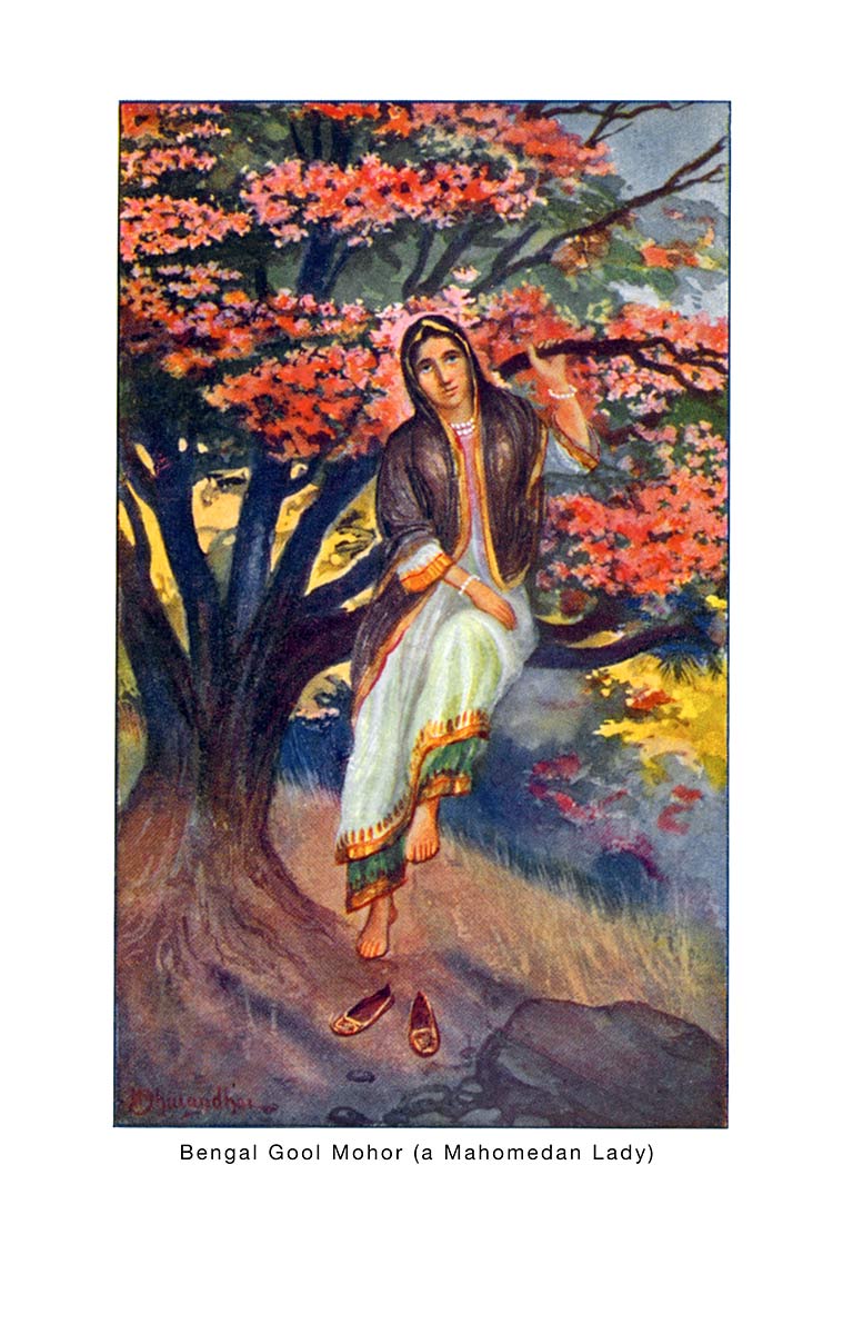 Bengal Gool Mohor (a Mahomedan Lady)