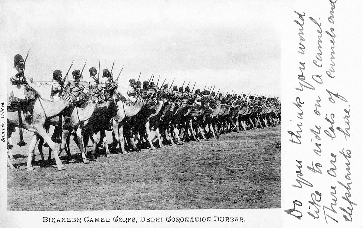 Bikaner Camel Corps, Delhi Coronation Durbar