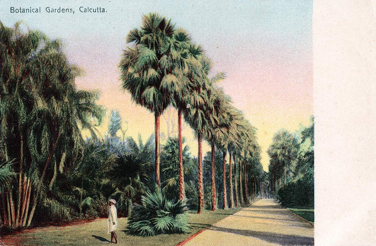 Botanical Gardens, Calcutta
