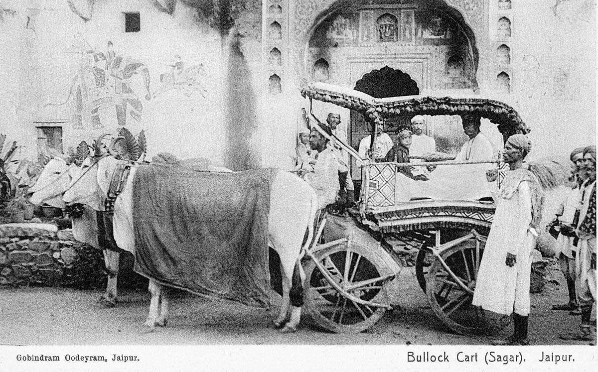 Bullock Cart (Sagar). Jaipur.