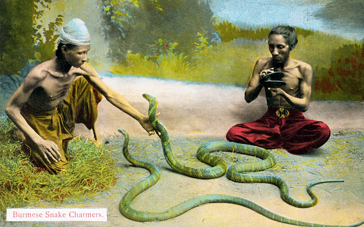 Burmese Snake Charmers