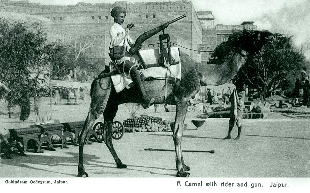 A Camel with rider and gun. Jaipur