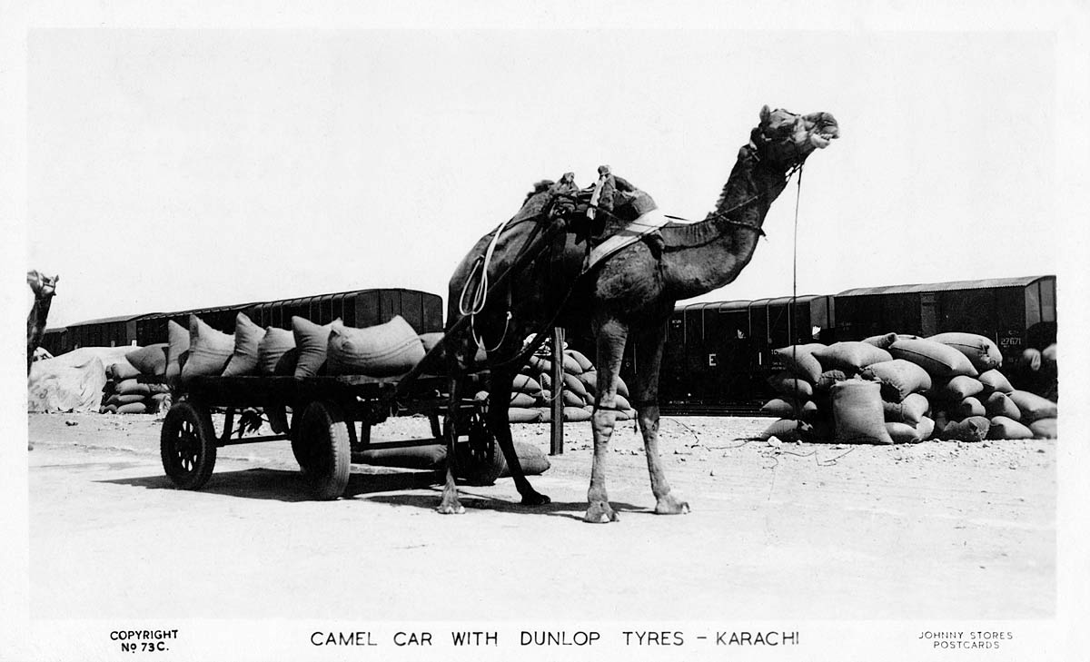 Camel Car with Dunlop Tyres - Karachi