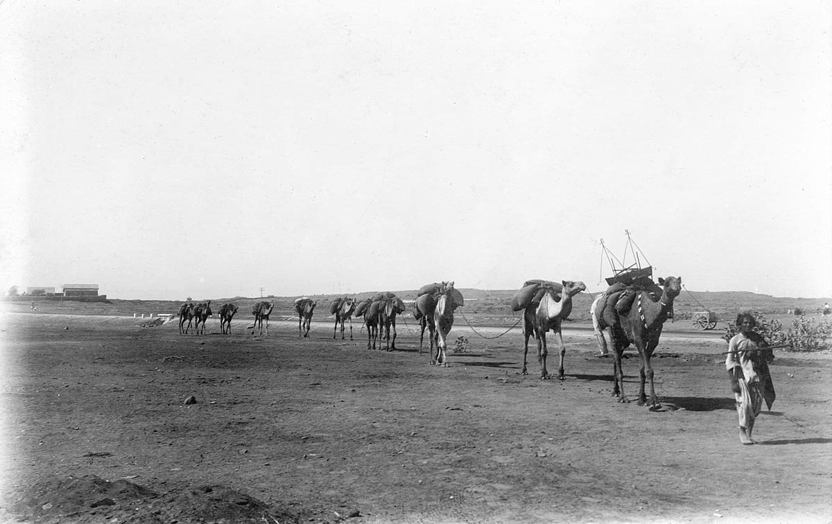 Camel Caravan in Karachi, India - November 1929