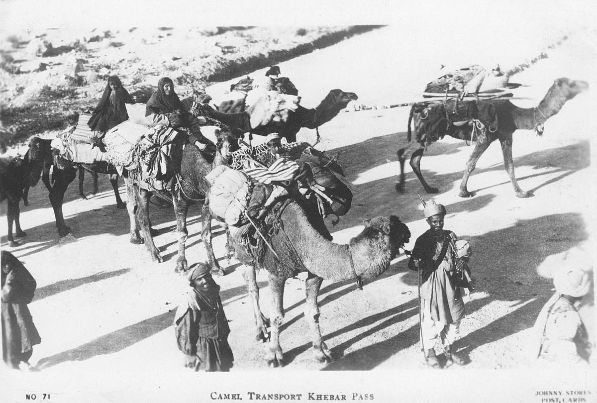 Camel Transport Khebar [Khyber] Pass