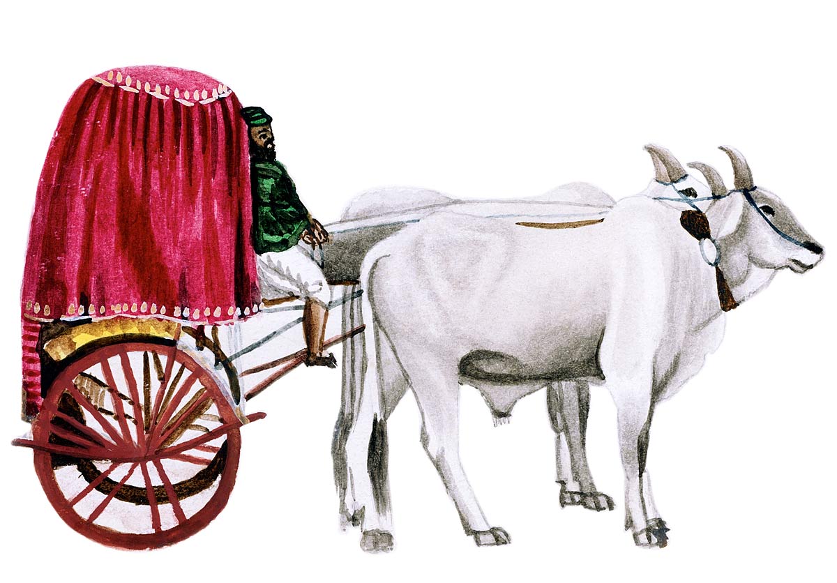 [Zenana Carriage]