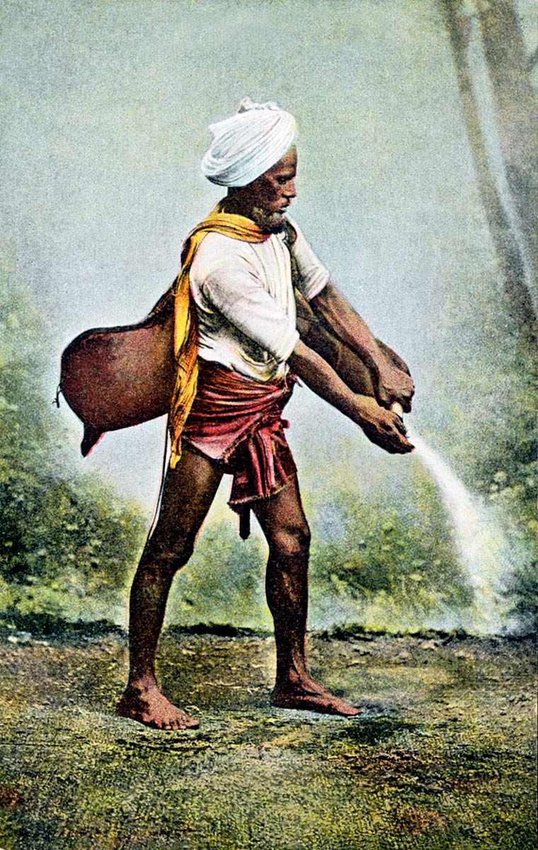 The Water Carrier (Bhistee)