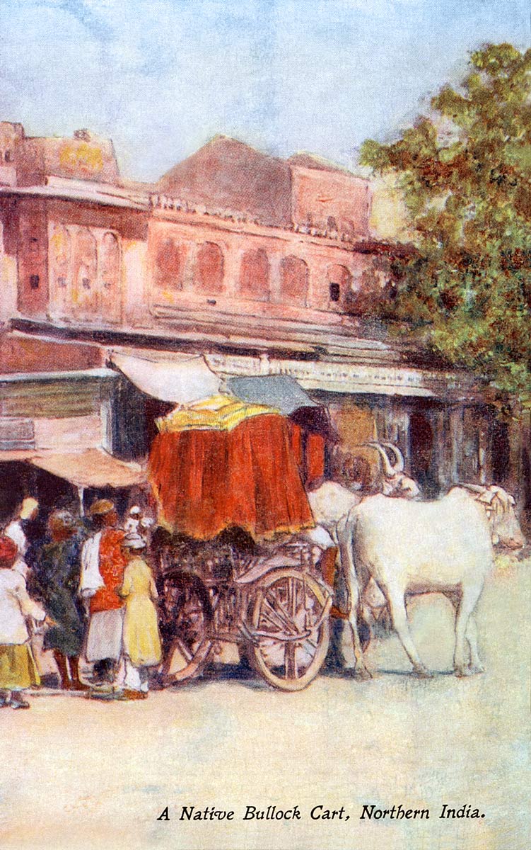 A Native Bullock Cart, Northern India