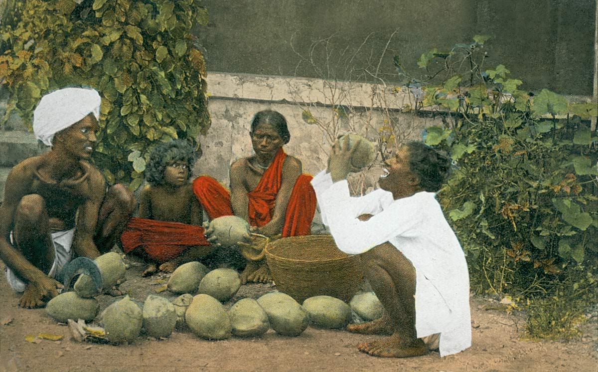 A Coconut Seller, Madras