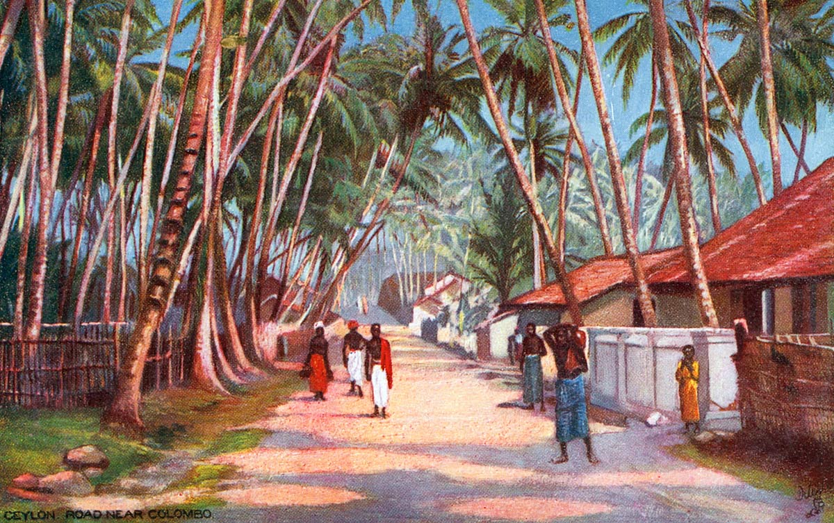 Ceylon. Road Near Colombo