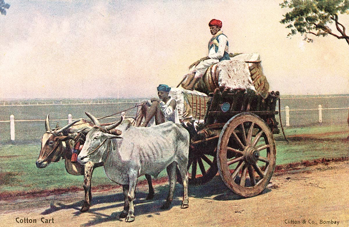 Cotton Cart