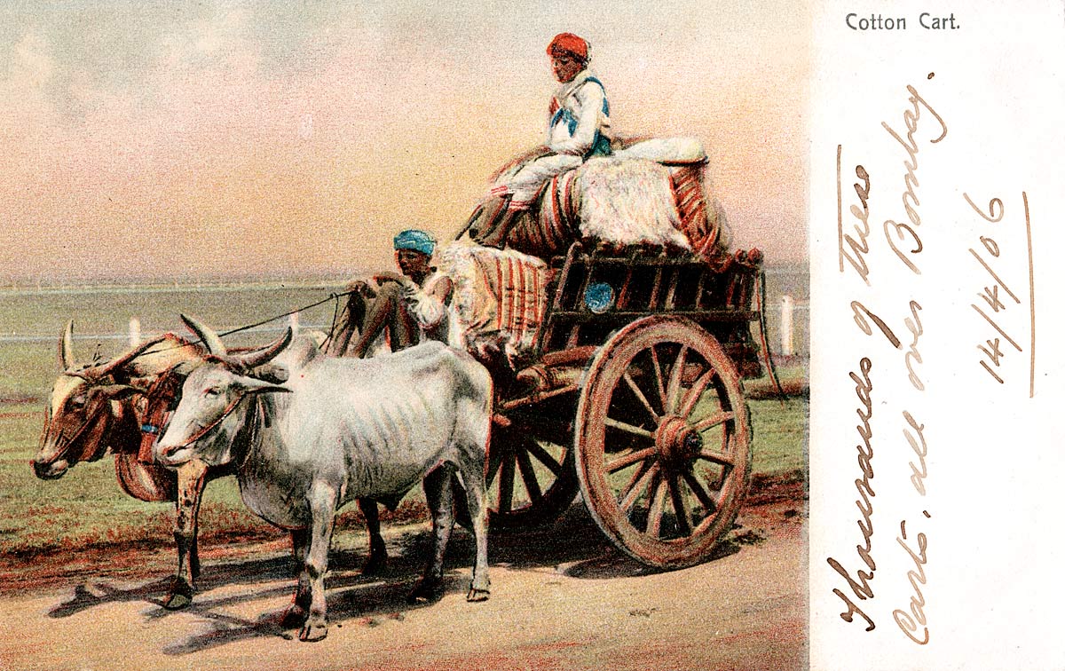 Cotton Cart