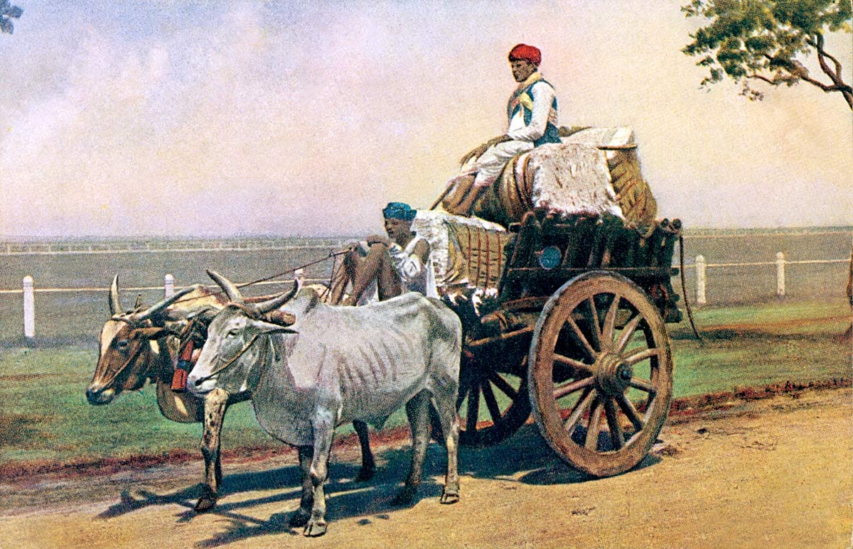 Cotton Cart