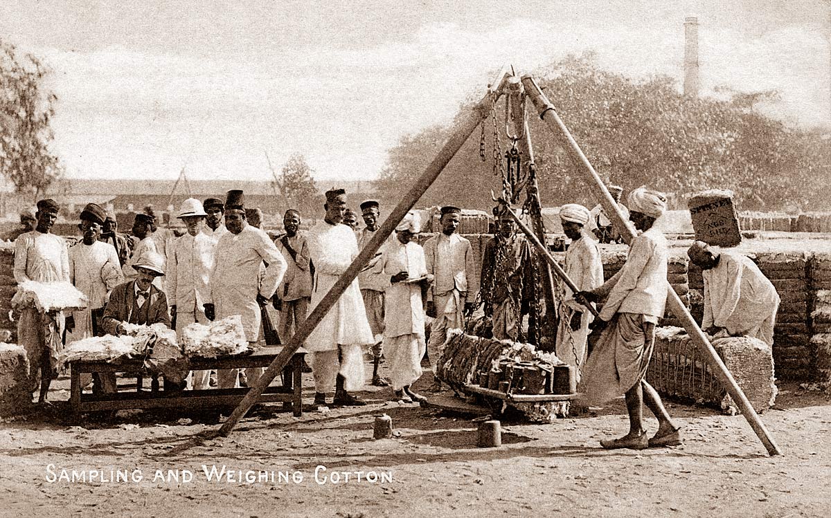 Sampling and Weighing Cotton