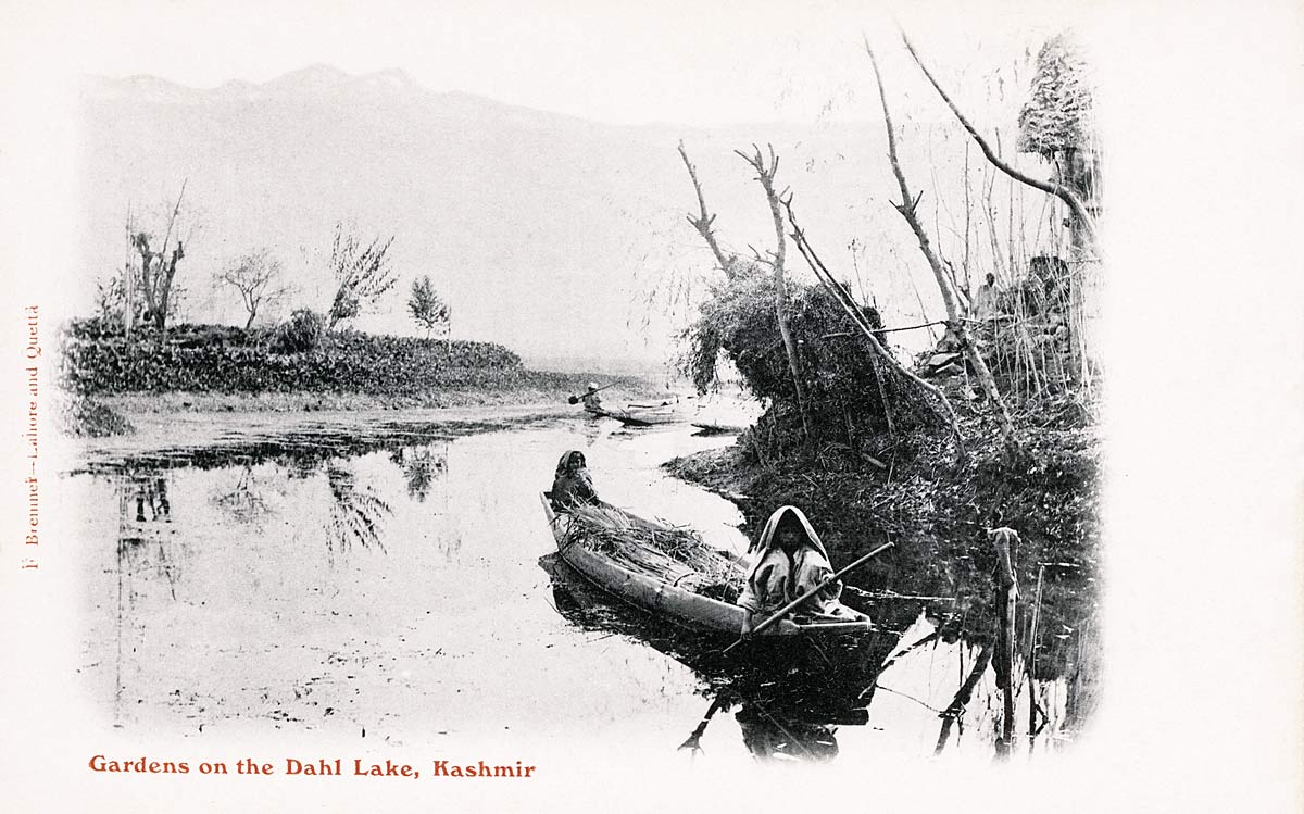 Gardens on the Dahl Lake, Kashmir