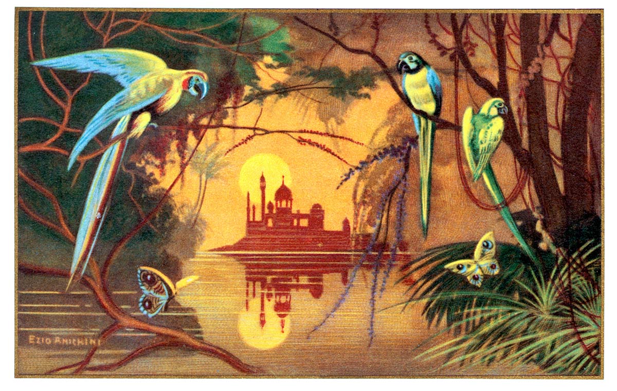 [India Artist Card]