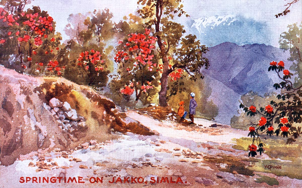 Springtime on Jakko, Simla