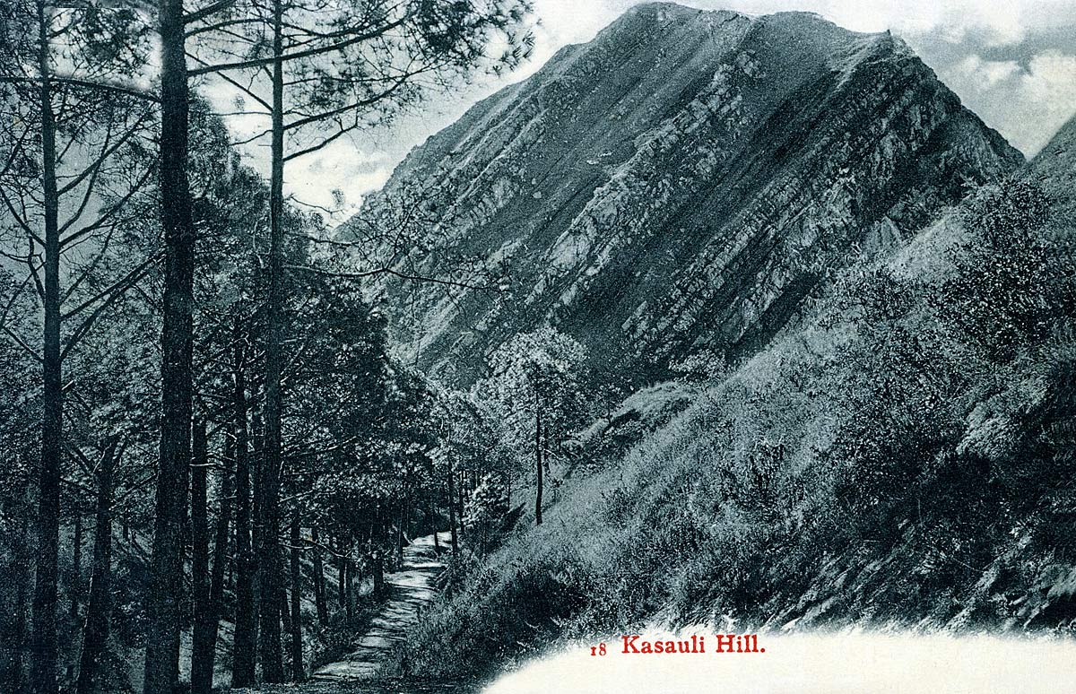 Kasauli Hill