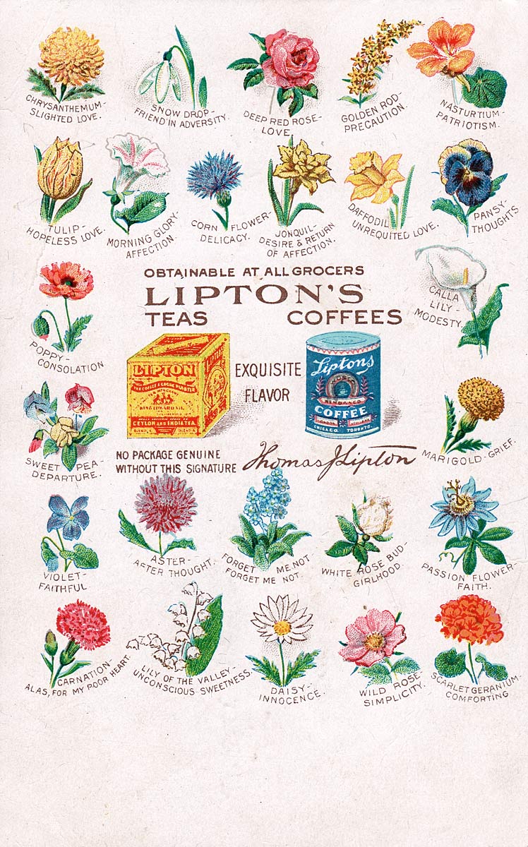 Lipton's Teas and Coffees