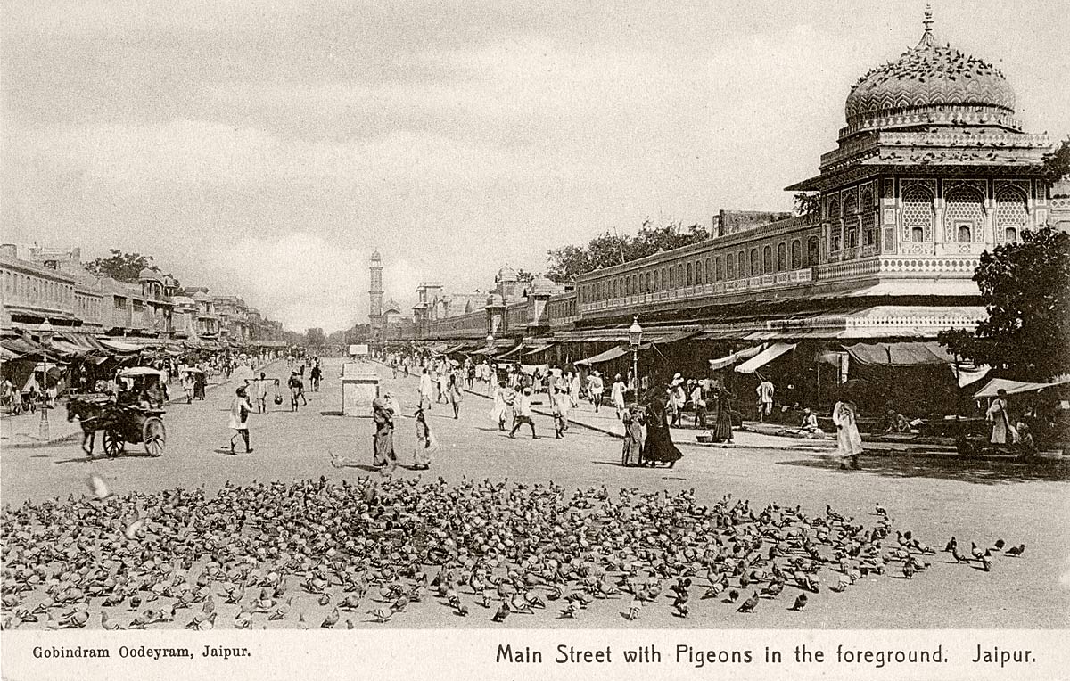 Main Street with Pigeons in the foreground, Jaipur