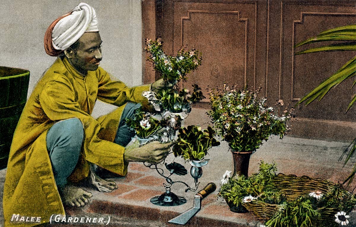 Malee. (Gardener.)