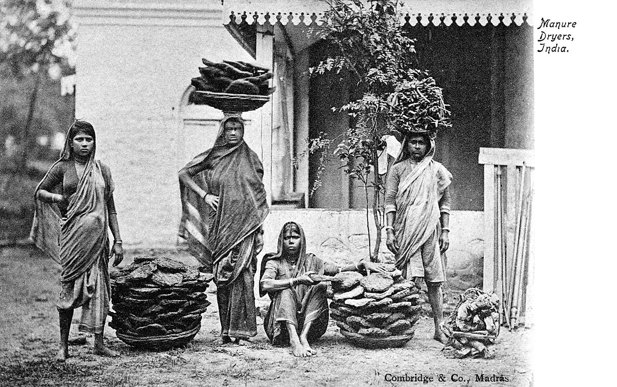 Manure Dryers, India