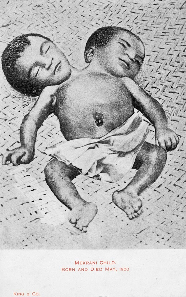 Mekrani Child