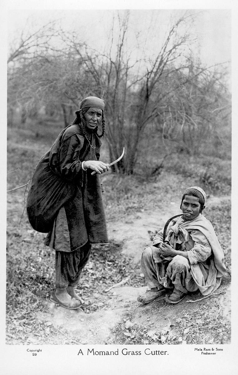 A Mohmand Grass Cutter