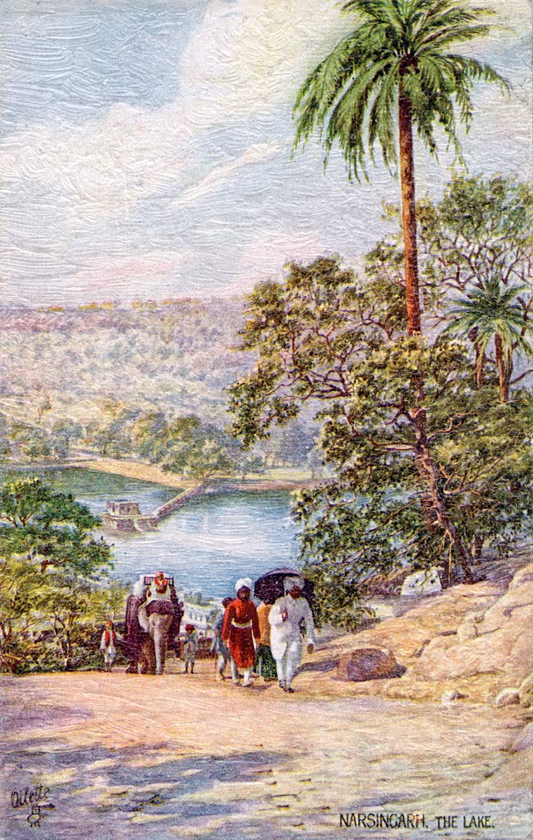 Narsinghgarh, The Lake