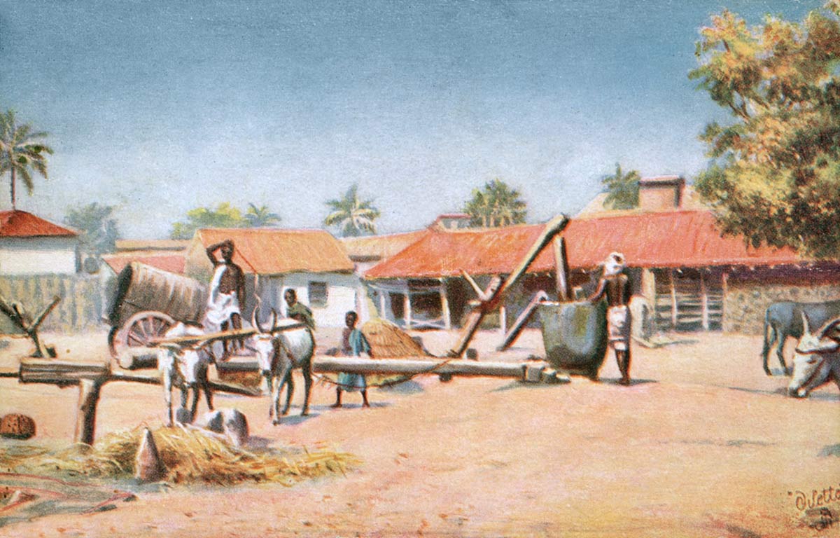 Madras Coconut Oil Mills