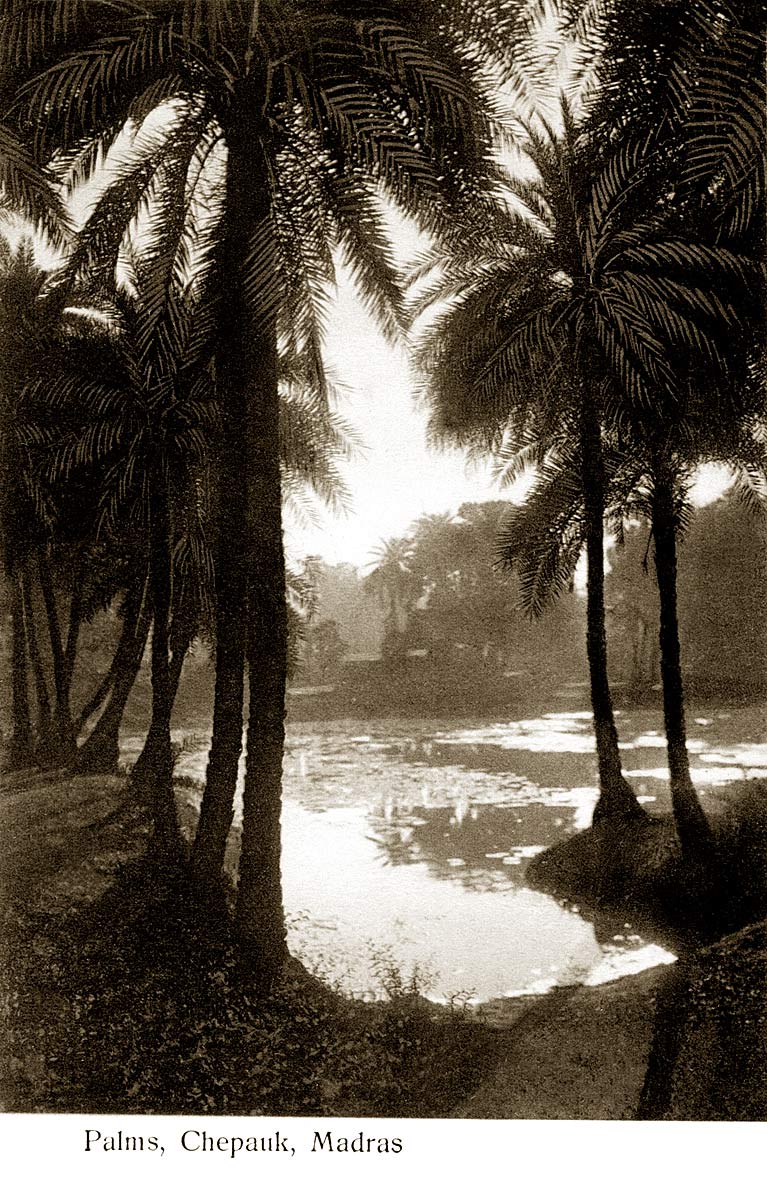 Palms, Chepauk, Madras