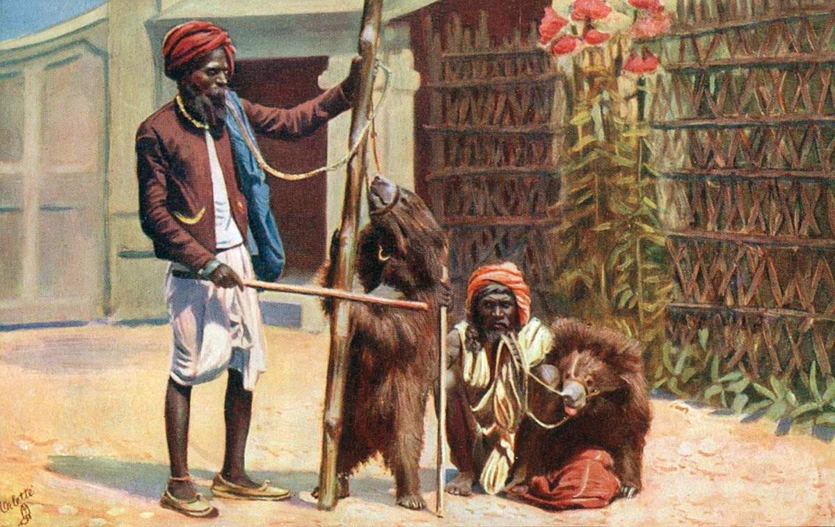 Calcutta, Performing Bears