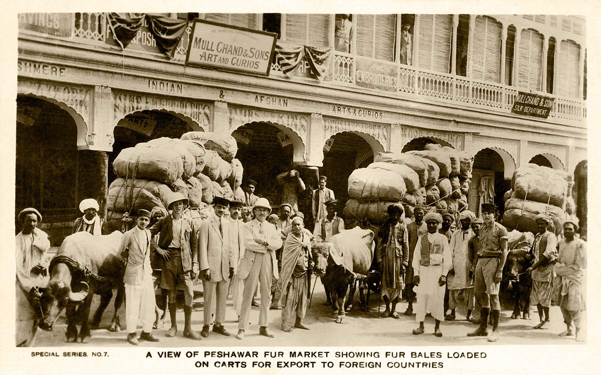 A View of Peshawar Fur market Showing Fur Bales Loaded on Carts for Export to Foreign Countries