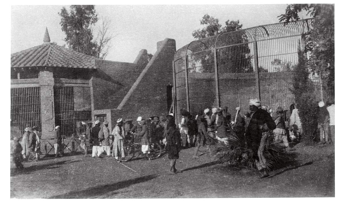 A Corner of Zoo, Peshawar, Showing Lions Cages & Enclosures