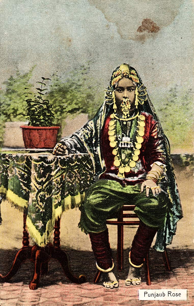 Punjaub Rose