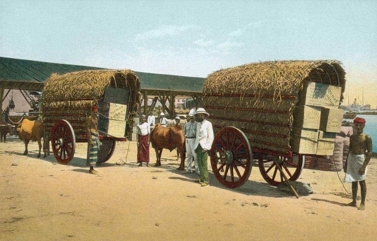 Shipping Tea, Colombo