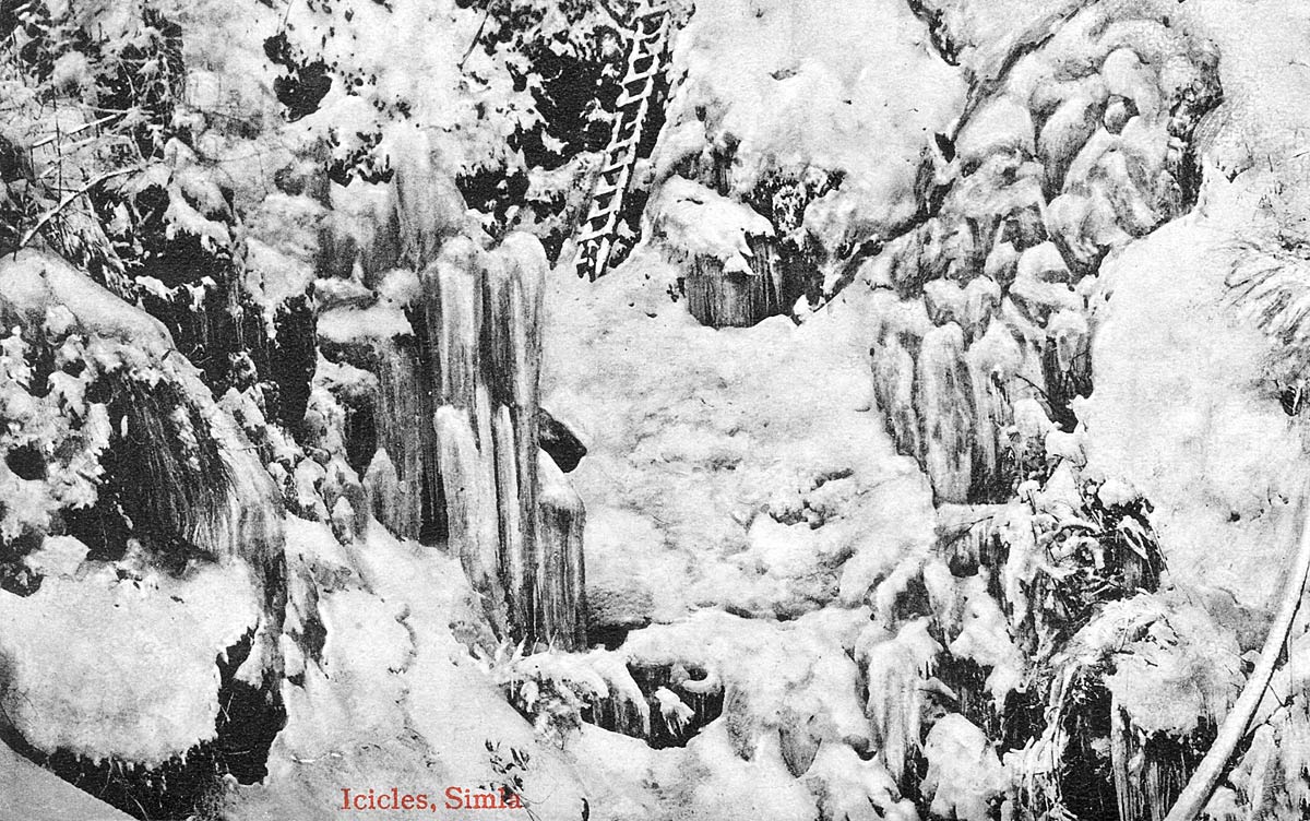 Icicles, Simla