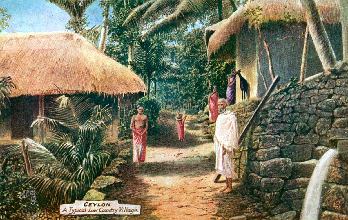 Ceylon A Typical Low Country Village