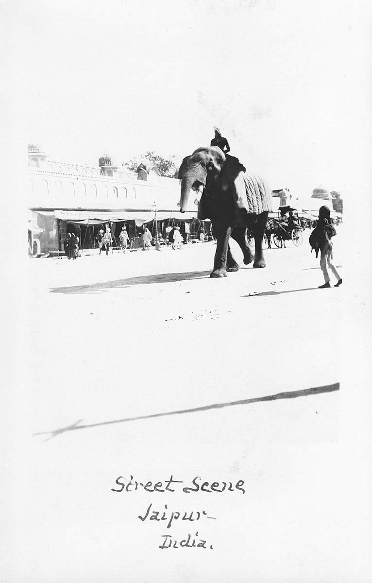 Street Scene, Jaipur India