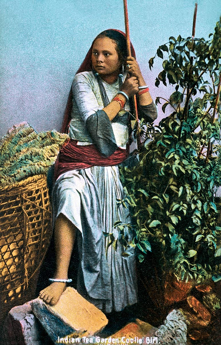 Indian Tea Garden Coolie Girl