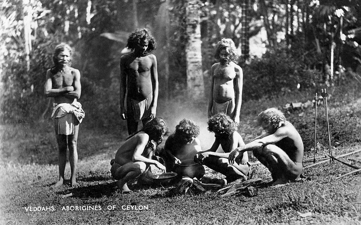 Veddahs. Aborigines of Ceylon