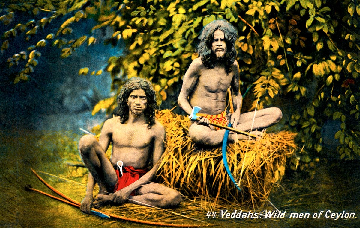 Veddahs. Wild men of Ceylon