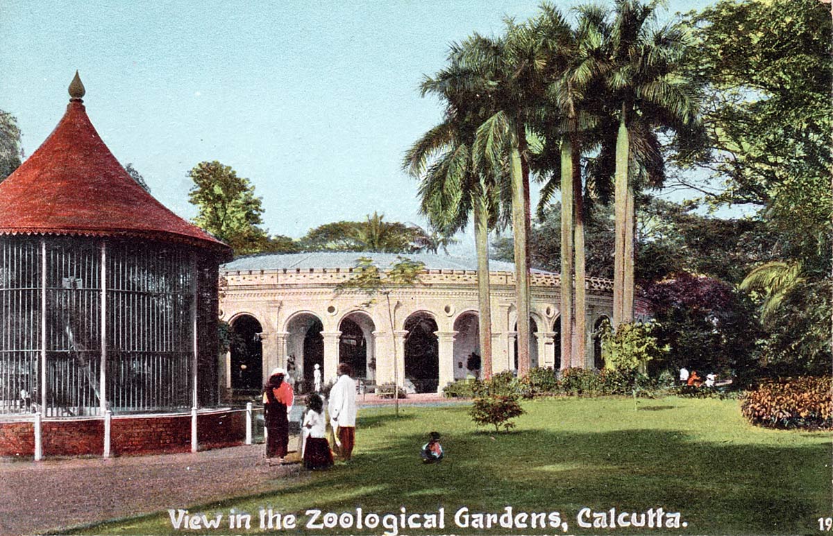 View of the Zoological Gardens, Calcutta