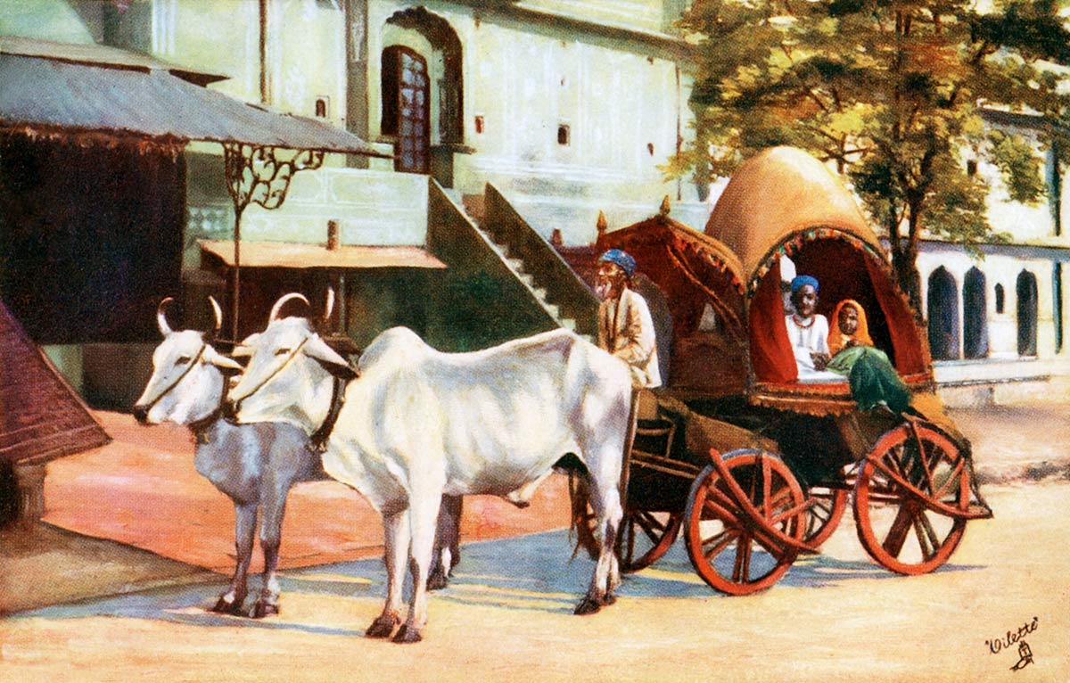 Jeypore Zenana Carriage