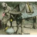A Bhistee [Watercarrier]