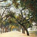 Avenue of Trees, Jumna Bridge, Allahabad.