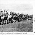 Bikaner Camel Corps, Delhi Coronation Durbar