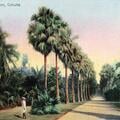 Botanical Gardens, Calcutta